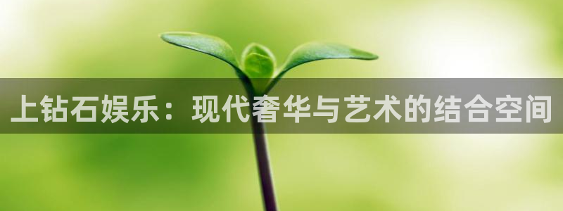 永信贵宾会网址：上钻石娱乐：现代奢华与艺术的结合空间