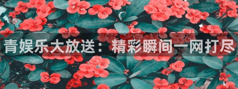永信贵宾会优惠大厅：青娱乐大放送：精彩瞬间一网打尽