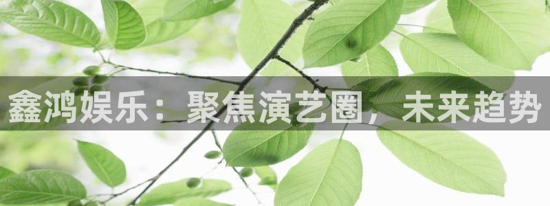 永信贵宾会：鑫鸿娱乐：聚焦演艺圈，未来趋势