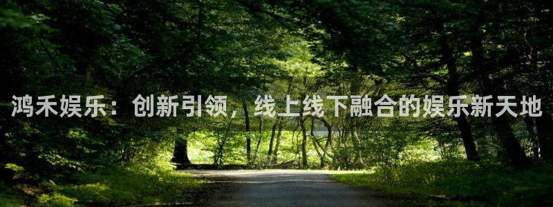 永信贵宾会最新地址：鸿禾娱乐：创新引领，线上线下融合的娱乐新天地
