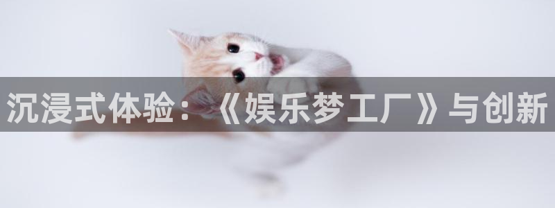 永信贵宾会备用网址：沉浸式体验：《娱乐梦工厂》与创新