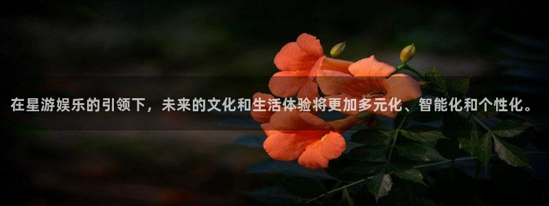 永信贵宾会：在星游娱乐的引领下，未来的文化和生活体验将更加多元化、智能化和个性化。