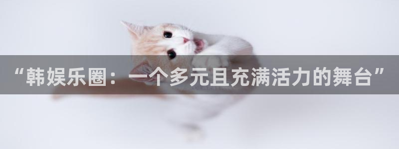永信贵宾会大厅：“韩娱乐圈：一个多元且充满活力的舞台”