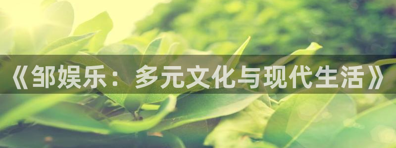 永信贵宾会官网217：《邹娱乐：多元文化与现代生活》