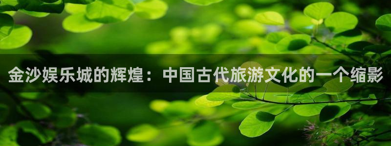 永信贵宾会：金沙娱乐城的辉煌：中国古代旅游文化的一个缩影