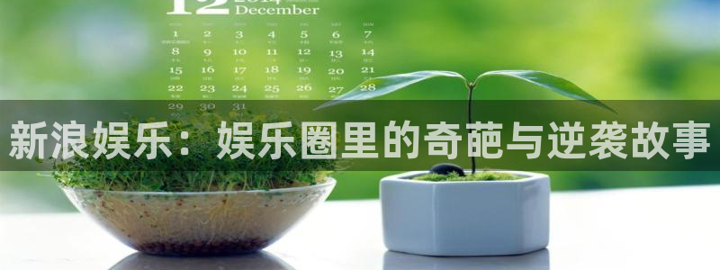 永信贵宾会备用网址：新浪娱乐：娱乐圈里的奇葩与逆袭故事